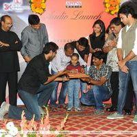 Journey Audio Launch - Pictures | Picture 127122
